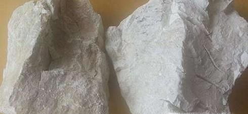 米生虫了怎么办？如何预防大米生虫？