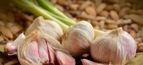 米生虫了怎么办？如何预防大米生虫？