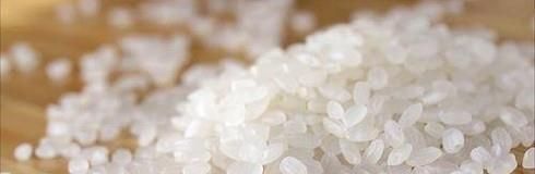 米生虫了怎么办？如何预防大米生虫？