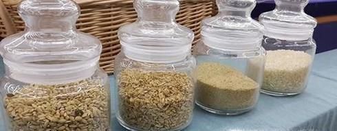 米生虫了怎么办？如何预防大米生虫？