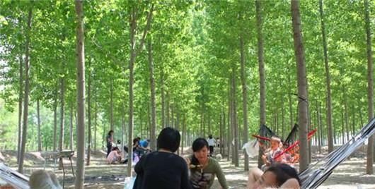 被蜱虫叮咬后怎么办？夏季如何防止被蜱虫叮咬？