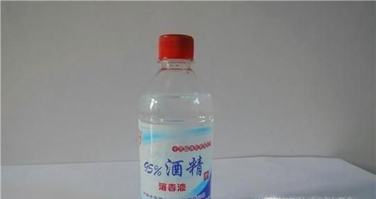 被蜱虫叮咬后怎么办？夏季如何防止被蜱虫叮咬？