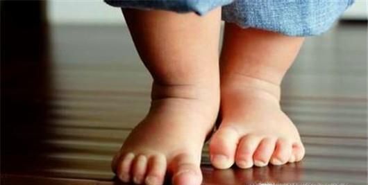 被蜱虫叮咬后怎么办？夏季如何防止被蜱虫叮咬？