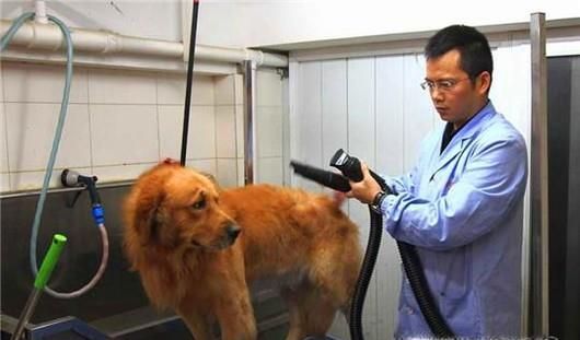 被蜱虫叮咬后怎么办？夏季如何防止被蜱虫叮咬？