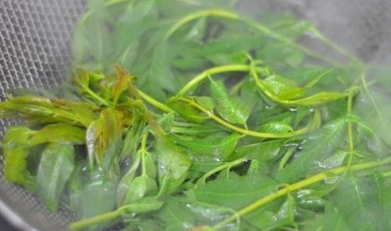 新鲜香椿怎样长期保存