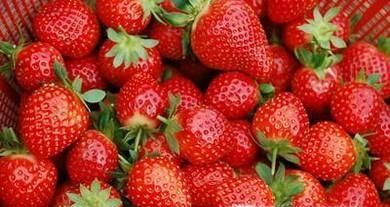 便秘了可以吃哪些水果？