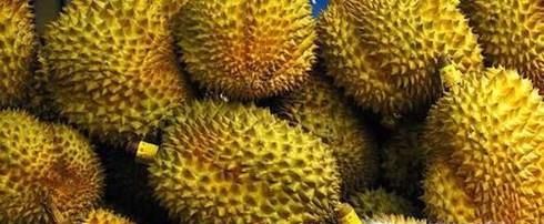 哪些水果放冰箱会加速腐烂？