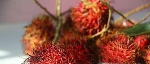 哪些水果放冰箱会加速腐烂？