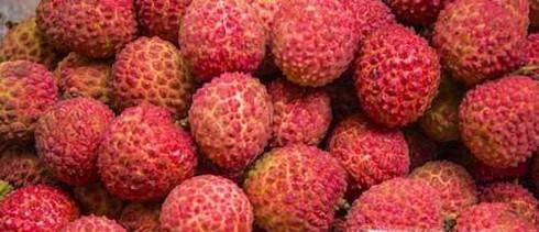 哪些水果放冰箱会加速腐烂？