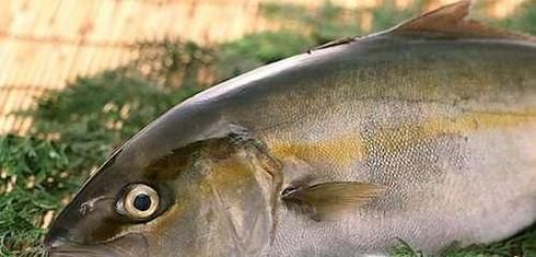 献血前后需要注意什么?