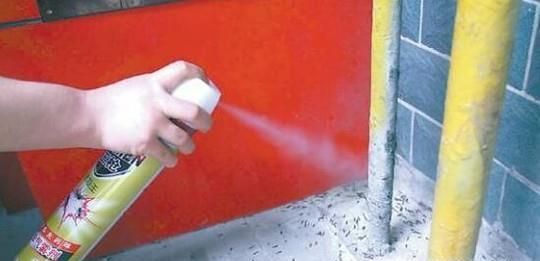 驱除苍蝇的有效方法有哪些？怎么消灭家里的苍蝇