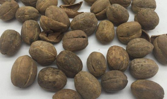 芦笋相克的食物有哪些