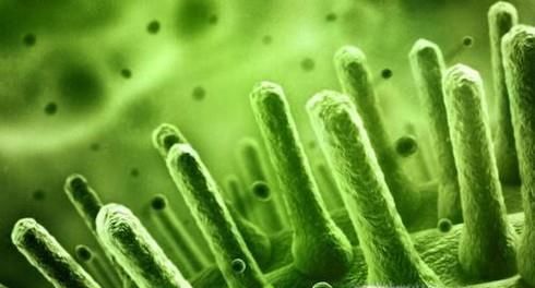 胚胎停育应该如何预防？