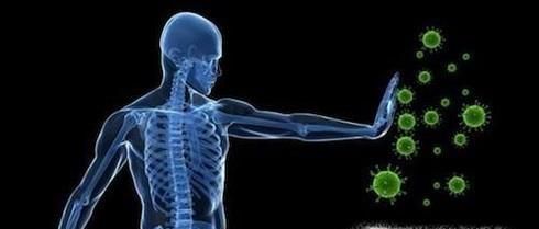 胚胎停育应该如何预防？