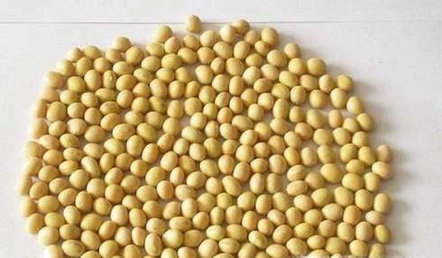 做豆浆的时候要注意什么？