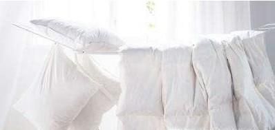 屋里死老鼠的味道怎么去除