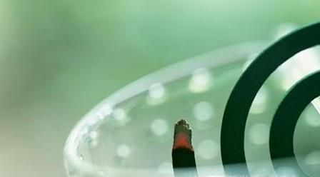 家中有很多蚊子怎么处理