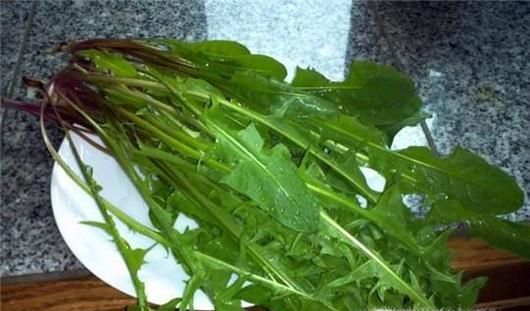 夏季被马蜂蛰了怎么办？