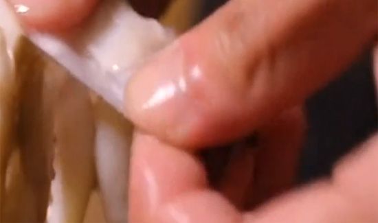 八爪鱼怎么清洗