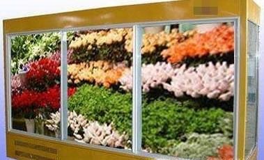 告诉你实体花店给鲜花保鲜的四个方法