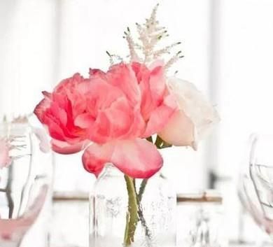 告诉你实体花店给鲜花保鲜的四个方法