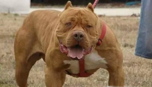 暑期要避开哪些危险？警惕八大危险靠近孩子！