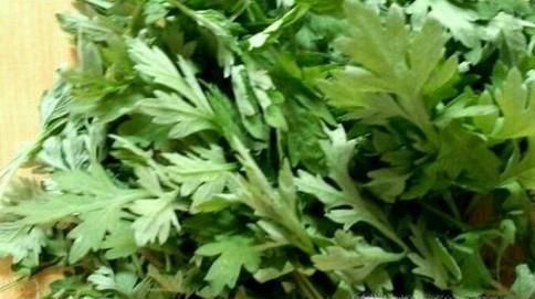 如何驱除蚊子和防止叮咬