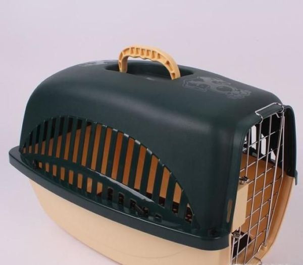 公猫绝育术前准备