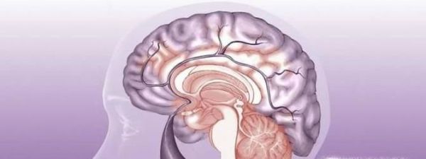 老年嗜睡如何预防？老年嗜睡可能是什么病？