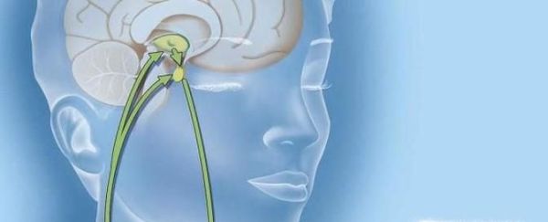 老年嗜睡如何预防？老年嗜睡可能是什么病？