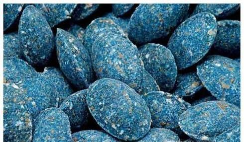 家里有老鼠怎么消灭？老鼠怎么赶走？