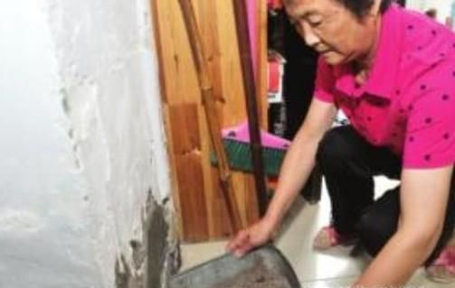 屋内太潮湿怎么办？