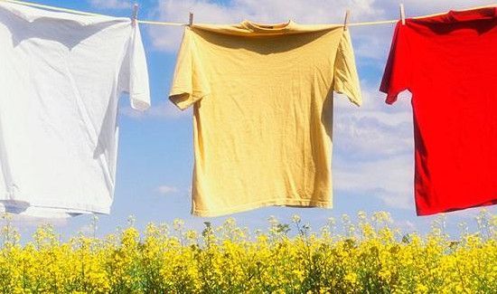 洗衣服卫生纸粘到了毛衣上怎么办