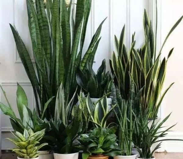 房间没窗户太闷怎么弄