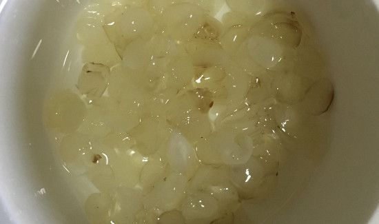 皂角米要泡多久