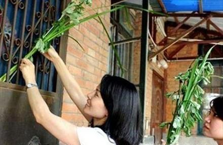 端午节的传统习俗