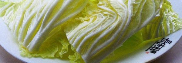 白菜和胡萝卜能一起吃吗