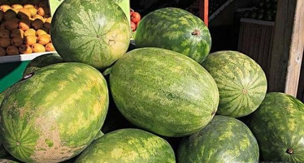 要怎样挑选西瓜