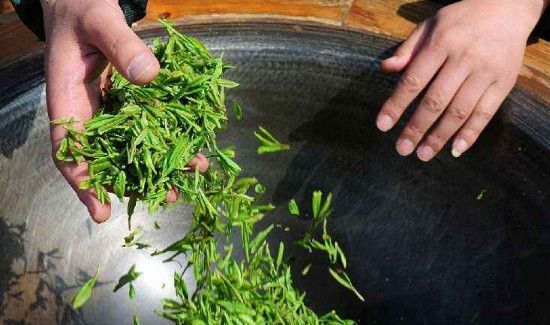 烘青和炒青的区别