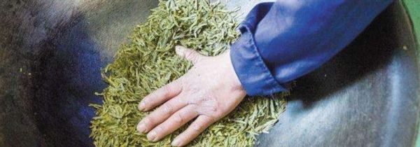 烘青和炒青的区别