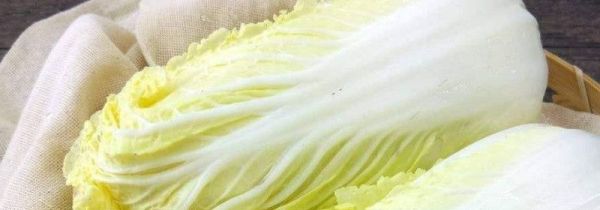 白菜和虾能一起吃吗