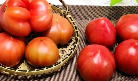 白菜和西红柿能一起吃吗