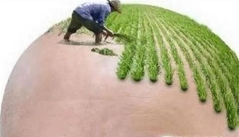 额头发际线高怎么办