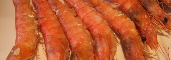 大虾和牛奶能一起吃吗