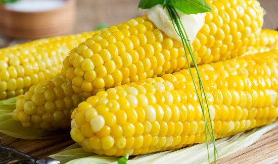 玉米棒子煮多久能熟