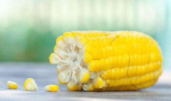 玉米棒子煮多久能熟