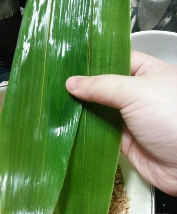 如何包最简单的粽子