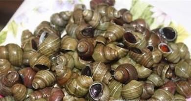 小窍门之——田螺怎么洗最快最干净