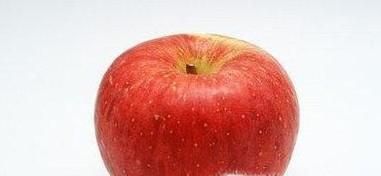 怎样使用家用的食物搅拌机，用它怎么制作美味？