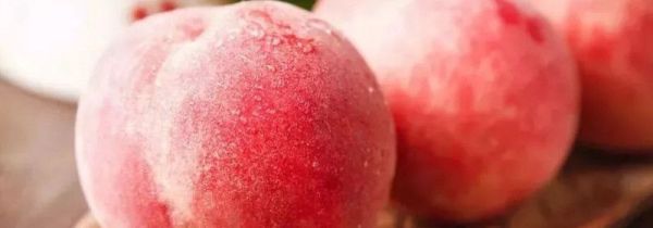 水蜜桃可以放冰箱储存吗